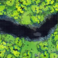 Forest-Chasm-Gridded-22x33-MapPublic.jpg