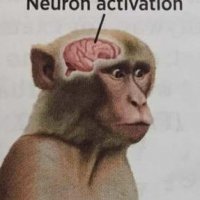 neuron activated.jpg