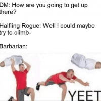 dm-are-going-get-up-there-halfling-rogue-well-could-maybe-try-climb-barbarian-yeet.png