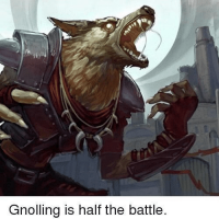 gnolledge-is-power-gnolling-is-half-battle-dungeonmemer.png