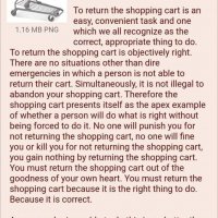 shopping cart theory.jpeg
